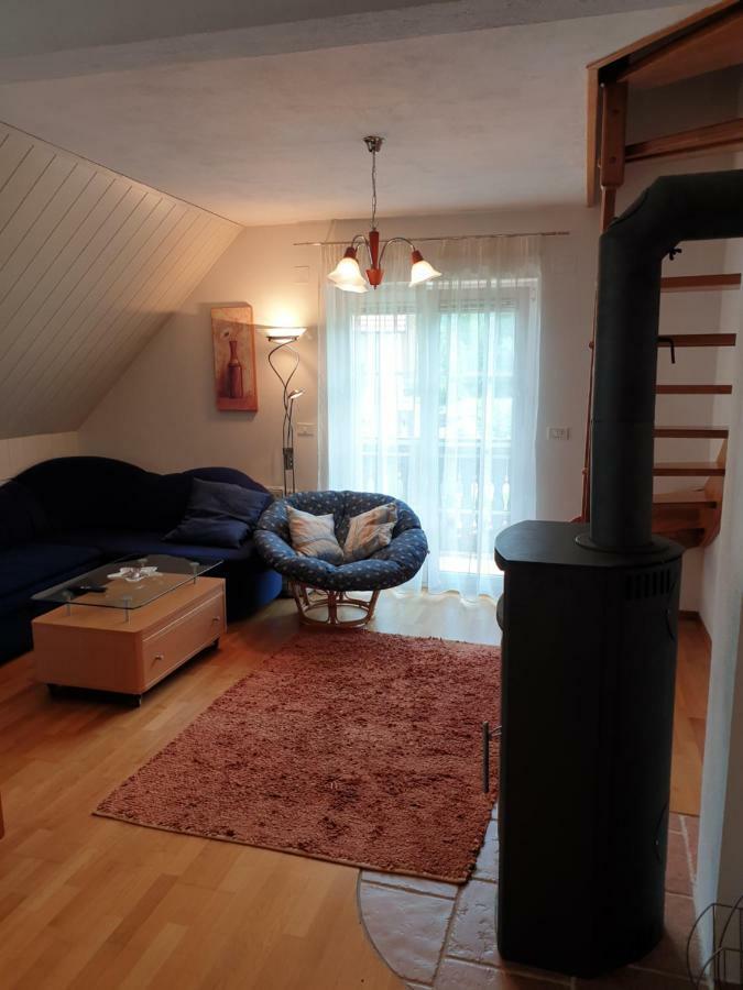 Apartman Irvin كْرانْيِسكا غورا المظهر الخارجي الصورة