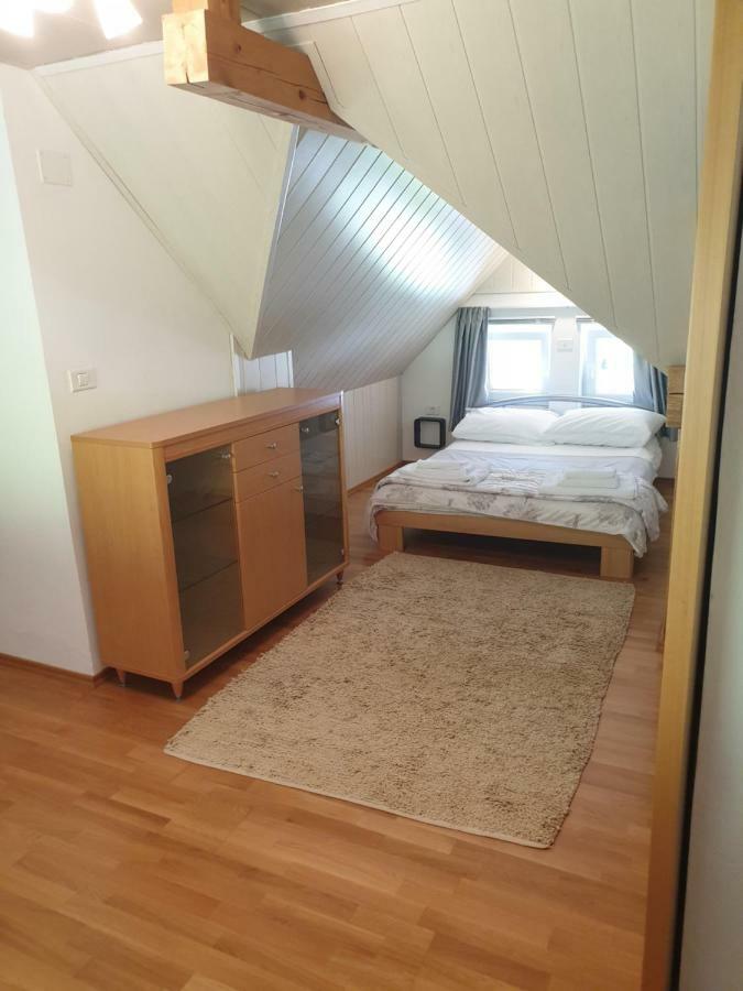 Apartman Irvin كْرانْيِسكا غورا المظهر الخارجي الصورة