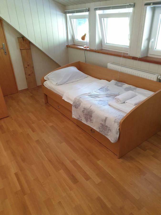 Apartman Irvin كْرانْيِسكا غورا المظهر الخارجي الصورة